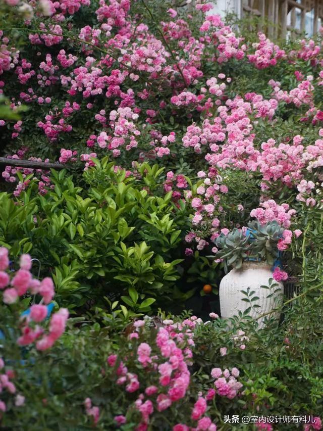 小冀亞華桂竹花園裝修效果_露臺(tái)花園裝修效果圖片_一樓花園裝修效果圖